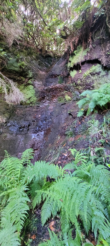 18.06.2024 Rocha Vermelha, eine meiner Lieblingslevadas — Weiter zu den seitlichen Wasserfällen — Foto 11
