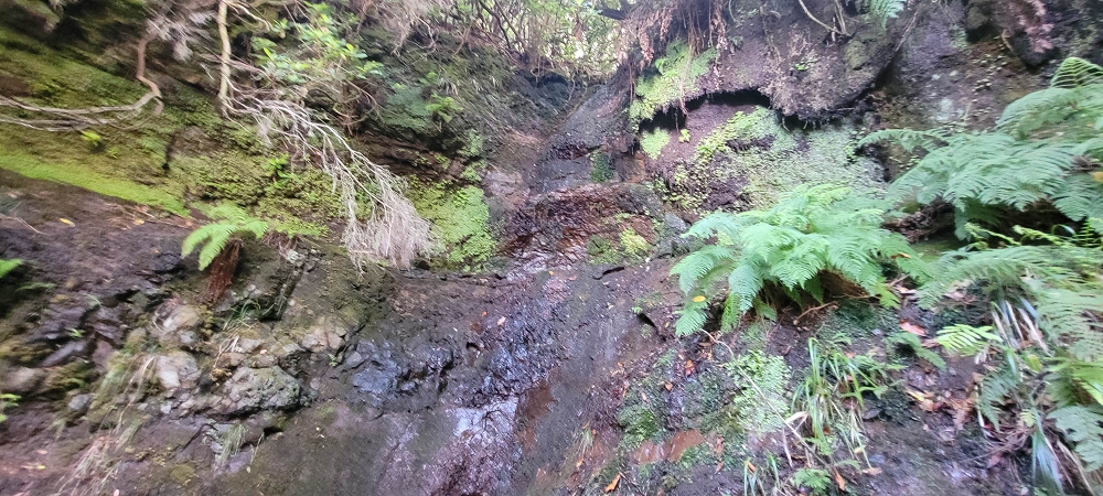 18.06.2024 Rocha Vermelha, eine meiner Lieblingslevadas — Weiter zu den seitlichen Wasserfällen — Foto 12