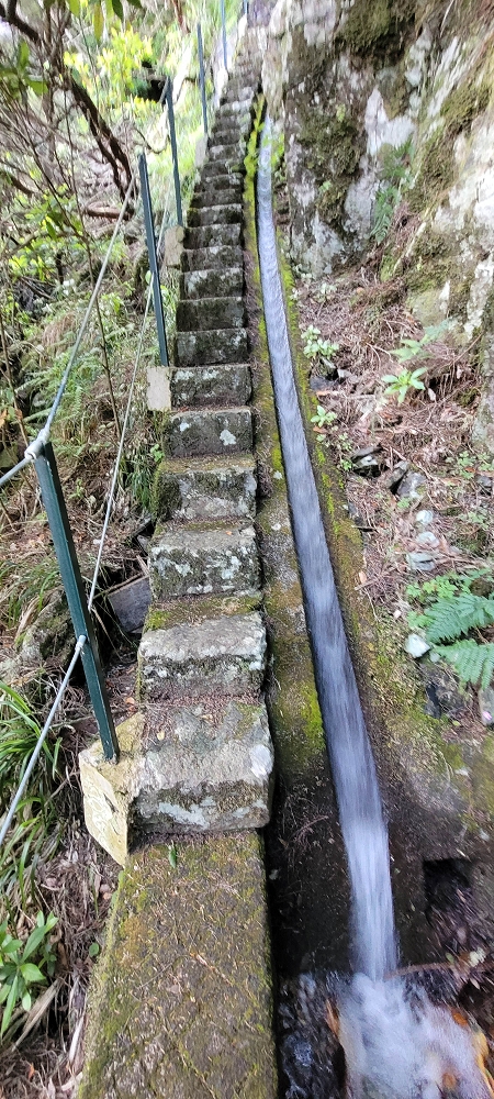 18.06.2024 Rocha Vermelha, eine meiner Lieblingslevadas — Stairway to Heaven bis zur Schluchtpassage — Foto 1