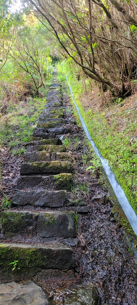 18.06.2024 Rocha Vermelha, eine meiner Lieblingslevadas — Stairway to Heaven bis zur Schluchtpassage — Foto 4