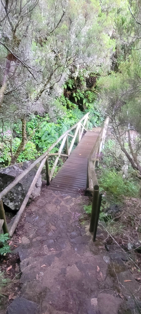 18.06.2024 Rocha Vermelha, eine meiner Lieblingslevadas — Über Palha Carga zur Ribeira dos Cedros — Foto 7