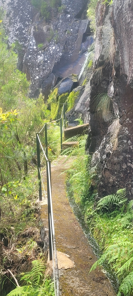 18.06.2024 Rocha Vermelha, eine meiner Lieblingslevadas — Stairway to Heaven bis zur Schluchtpassage — Foto 14