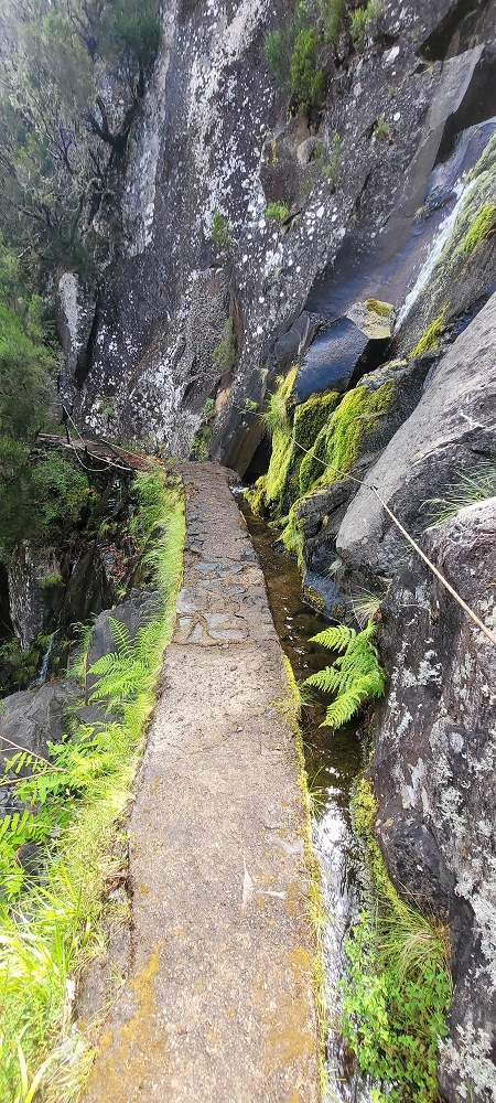 18.06.2024 Rocha Vermelha, eine meiner Lieblingslevadas — Schluchtpassage bis zum Andreakreuz — Foto 1