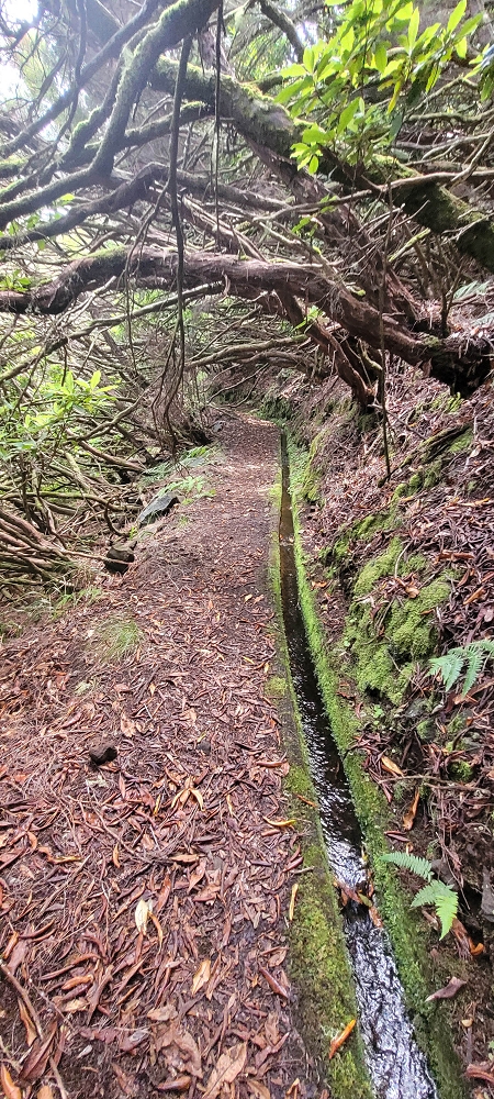 18.06.2024 Rocha Vermelha, eine meiner Lieblingslevadas — Schluchtpassage bis zum Andreakreuz — Foto 6