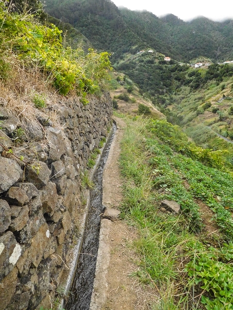 Levada da Fajazinha — Along the fields — photo 9