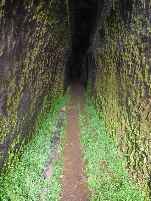 Levada da Portela — O túnel aberto para sul — foto 2