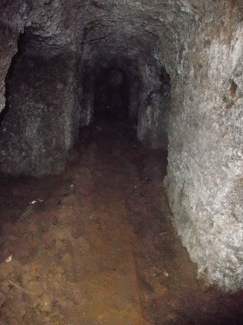 Levada da Portela — O túnel aberto para sul — foto 3