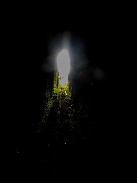Levada da Portela — O túnel aberto para sul — foto 7