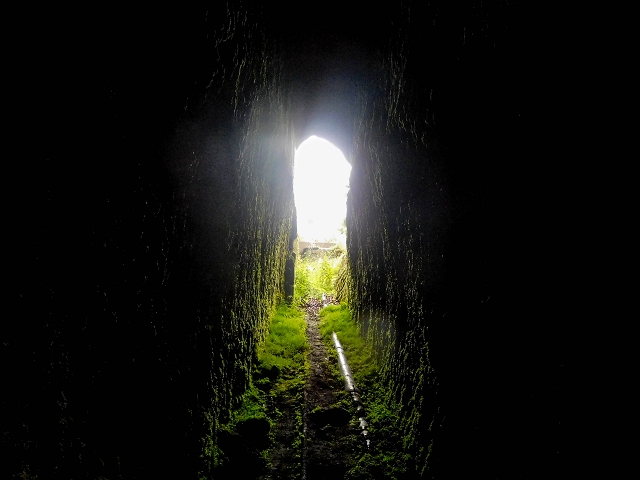 Levada da Portela — O túnel aberto para sul — foto 8