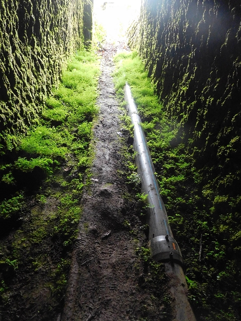 Levada da Portela — O túnel aberto para sul — foto 9