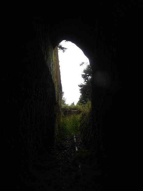 Levada da Portela — O túnel aberto para sul — foto 10
