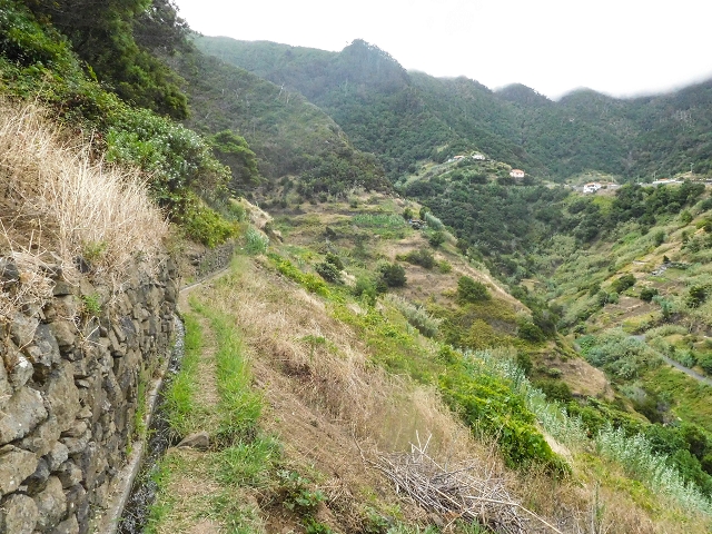 Levada da Fajazinha — Along the fields — photo 8