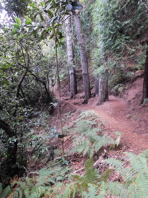 18 August 2017 Circuit above Porto da Cruz — On the PR5 to Funduras — photo 3
