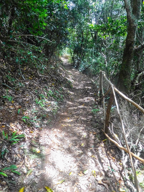 18 August 2017 Circuit above Porto da Cruz — On the PR5 to Funduras — photo 10