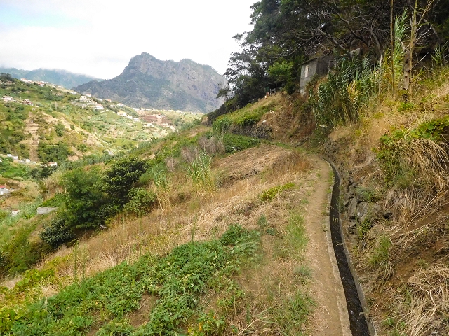 Levada da Fajazinha — Along the fields — photo 7