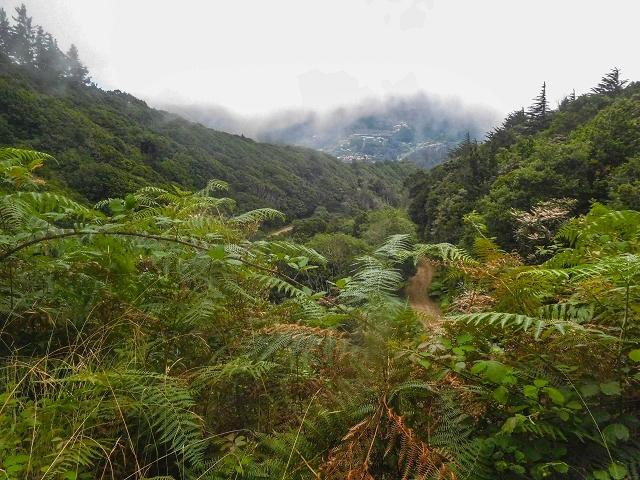 18 August 2017 Circuit above Porto da Cruz — On the PR5 to Funduras — photo 12