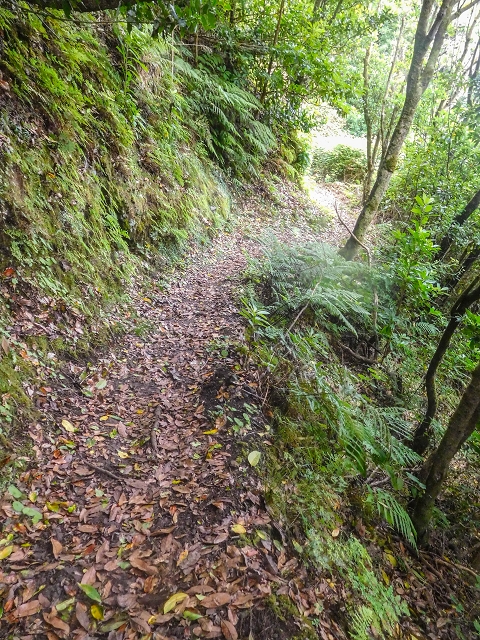 18 August 2017 Circuit above Porto da Cruz — Descent on the Caminho da Degolada and, at the end, along the Levada da Cova das Pedras, piped at first — photo 1