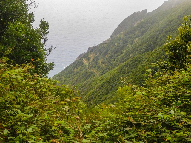 18 August 2017 Circuit above Porto da Cruz — Descent on the Caminho da Degolada and, at the end, along the Levada da Cova das Pedras, piped at first — photo 2