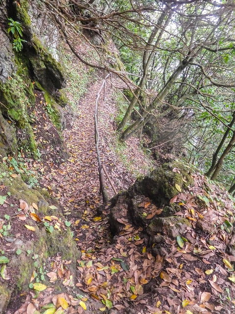 18 August 2017 Circuit above Porto da Cruz — Descent on the Caminho da Degolada and, at the end, along the Levada da Cova das Pedras, piped at first — photo 3