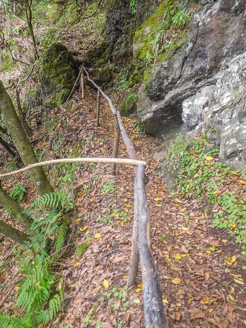 18 August 2017 Circuit above Porto da Cruz — Descent on the Caminho da Degolada and, at the end, along the Levada da Cova das Pedras, piped at first — photo 4