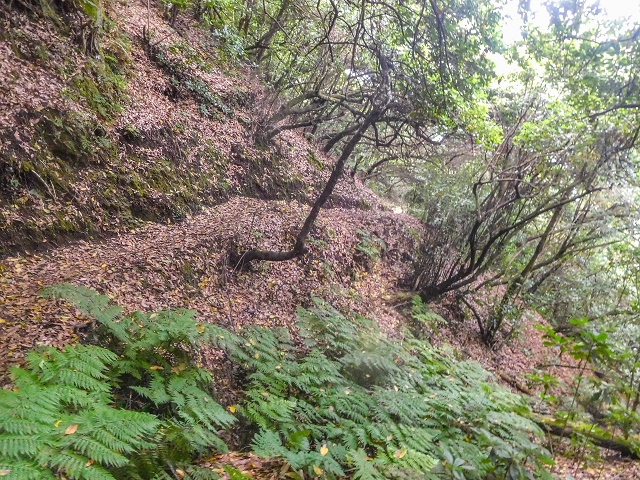 18 August 2017 Circuit above Porto da Cruz — Descent on the Caminho da Degolada and, at the end, along the Levada da Cova das Pedras, piped at first — photo 5