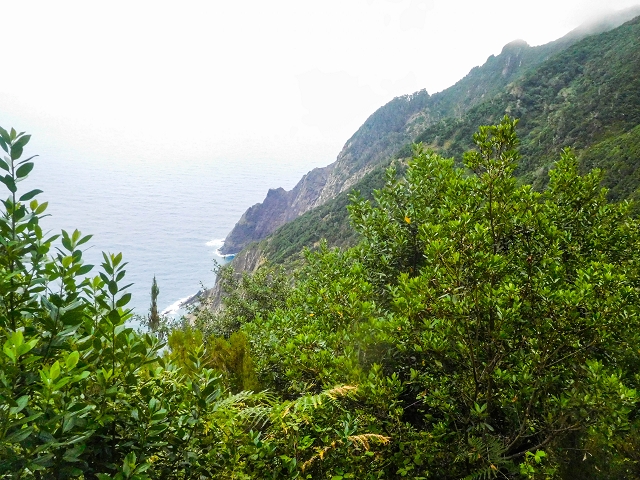 18 August 2017 Circuit above Porto da Cruz — Descent on the Caminho da Degolada and, at the end, along the Levada da Cova das Pedras, piped at first — photo 6