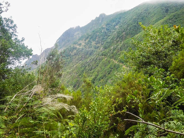 18 August 2017 Circuit above Porto da Cruz — Descent on the Caminho da Degolada and, at the end, along the Levada da Cova das Pedras, piped at first — photo 7