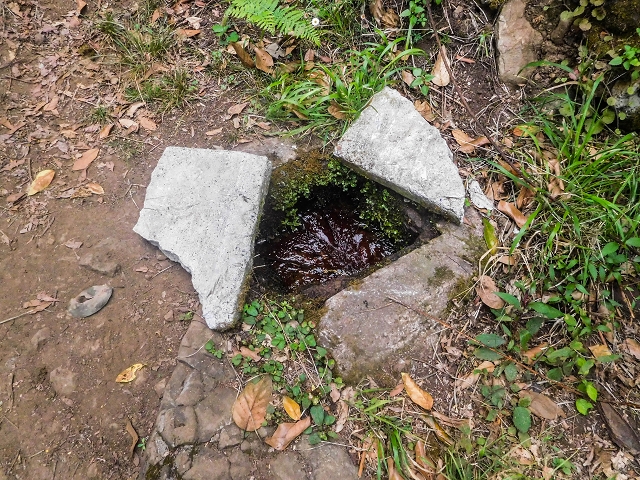 Levada da Cova das Pedras — O troço aberto no Caminho da Degolada — foto 1