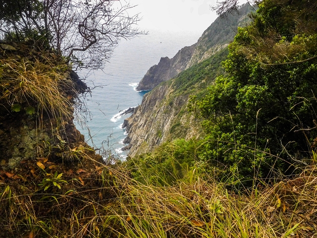 18 August 2017 Circuit above Porto da Cruz — Descent on the Caminho da Degolada and, at the end, along the Levada da Cova das Pedras, piped at first — photo 9