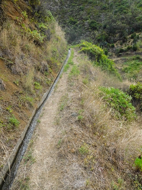 Levada da Fajazinha — Along the fields — photo 6