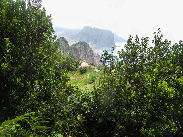 18 August 2017 Circuit above Porto da Cruz — Descent on the Caminho da Degolada and, at the end, along the Levada da Cova das Pedras, piped at first — photo 10