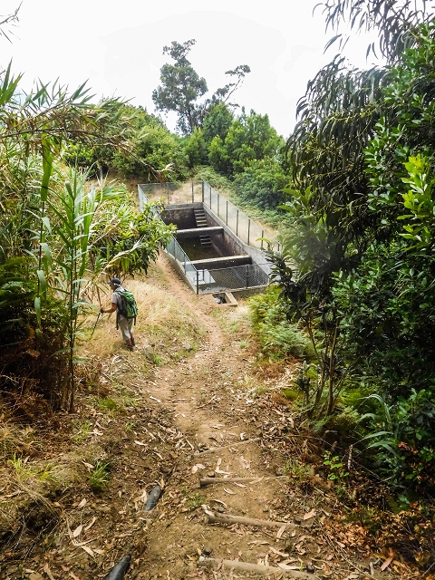 Levada da Cova das Pedras — Pouco antes do reservatório — foto 1