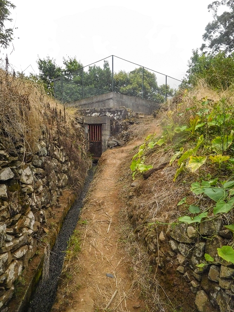 Levada da Cova das Pedras — Os ramos finais abaixo do reservatório — foto 1