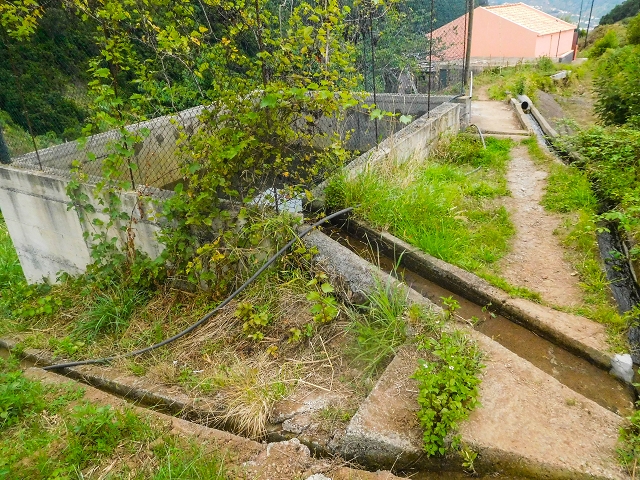 Levada da Cova das Pedras — Os ramos finais abaixo do reservatório — foto 2