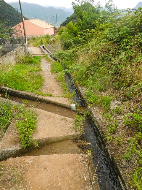 Levada da Cova das Pedras — Os ramos finais abaixo do reservatório — foto 3