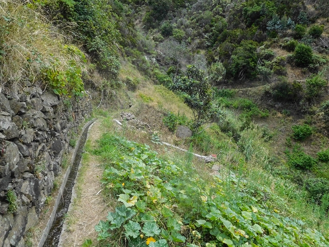 Levada da Fajazinha — Along the fields — photo 5