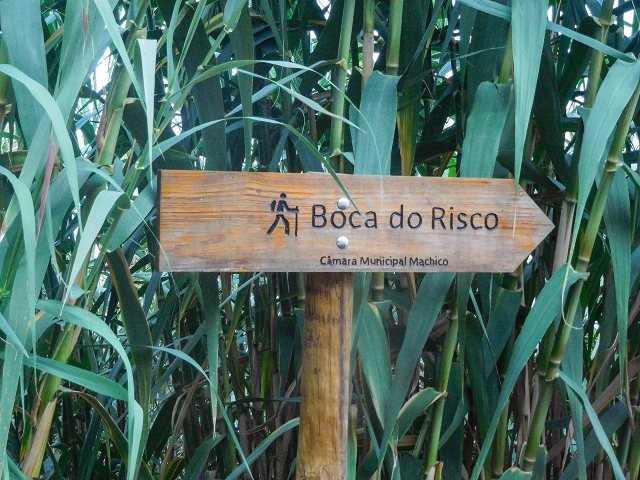 18 August 2017 Circuit above Porto da Cruz — Along the Levada da Cova das Pedras to the Larano cable car — photo 9