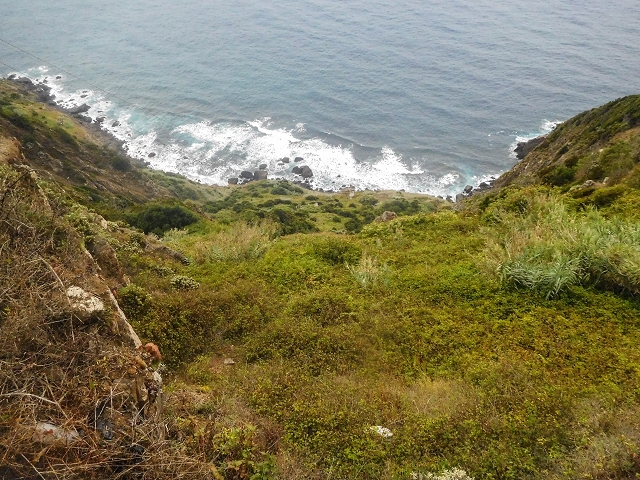 18 August 2017 Circuit above Porto da Cruz — Along the Levada da Cova das Pedras to the Larano cable car — photo 11