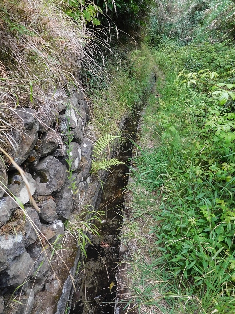 Levada do Poco do Arvoredo — Der etwas zugewachsene, schmale Abschnitt — Foto 3