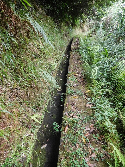 Levada do Poco do Arvoredo — Abschnitt bis zum Bach — Foto 3