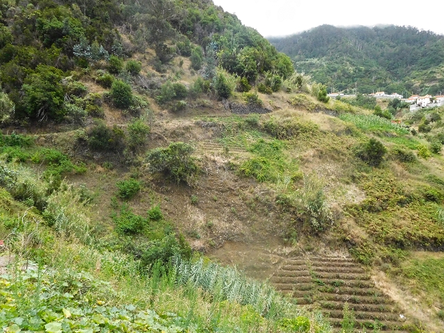 Levada da Fajazinha — Along the fields — photo 4