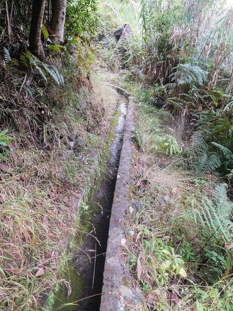 Levada do Poco do Arvoredo — Abschnitt bis zum Bach — Foto 4