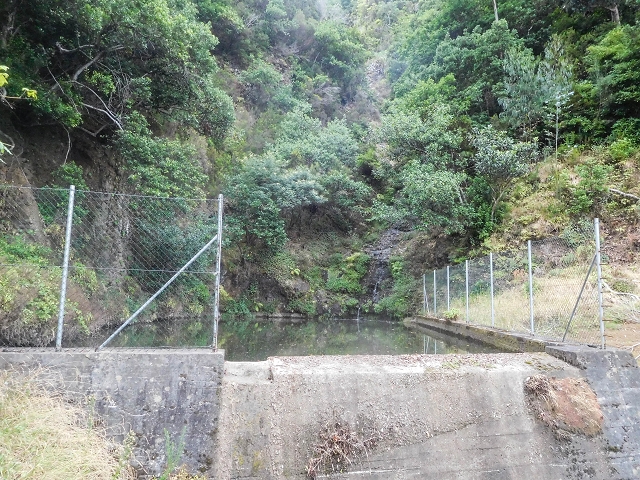 Levada do Poco do Arvoredo — Madre im Poco do Arvoredo — Foto 2