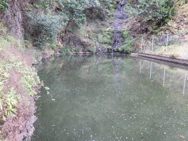 Levada do Poco do Arvoredo — Madre im Poco do Arvoredo — Foto 4