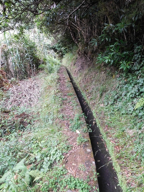 Levada do Poco do Arvoredo — Abschnitt bis zum Bach — Foto 2