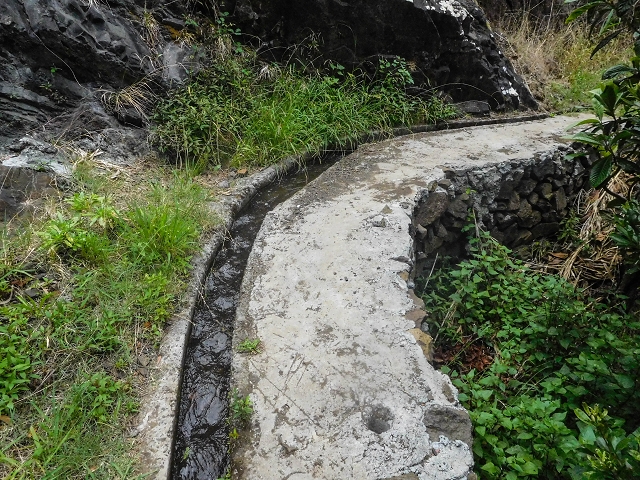 Levada da Fajazinha — Along the fields — photo 3