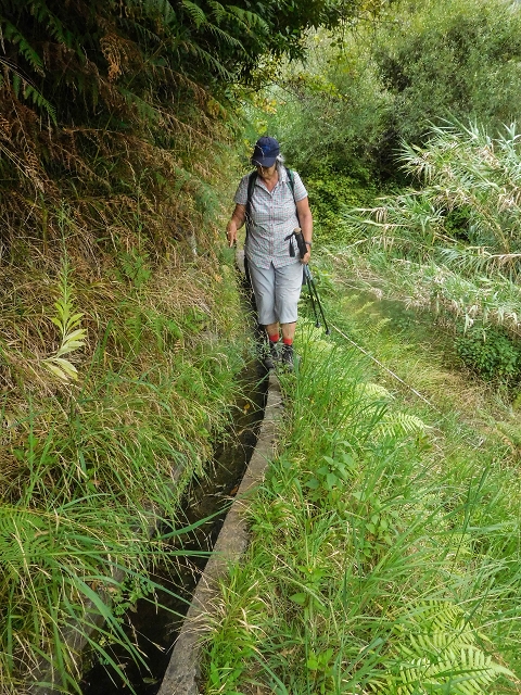 Levada do Poco do Arvoredo — Der etwas zugewachsene, schmale Abschnitt — Foto 5