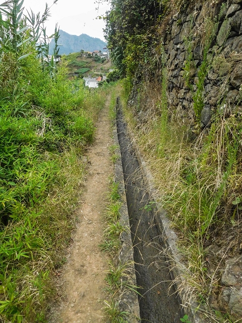 Levada do Poco do Arvoredo — Ab dem Zugangsweg wird es etwas breiter und offener — Foto 2
