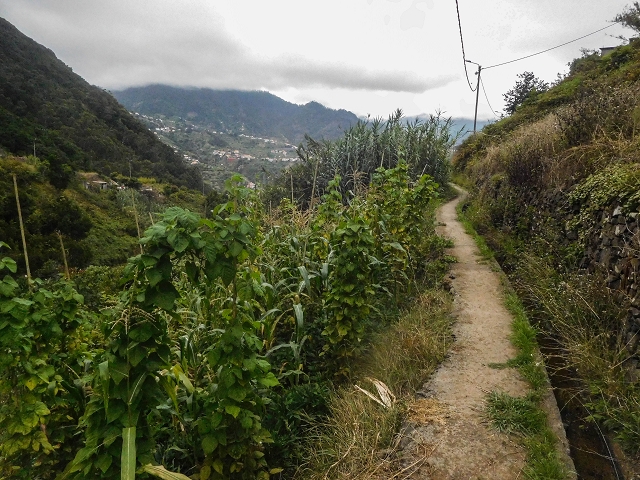 Levada do Poco do Arvoredo — Ab dem Zugangsweg wird es etwas breiter und offener — Foto 4
