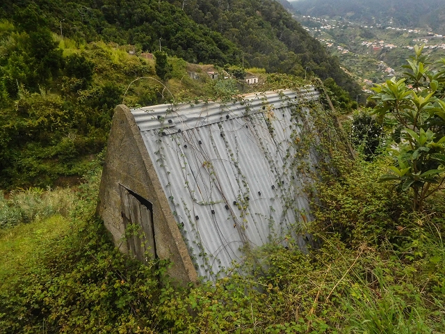 Levada do Poco do Arvoredo — Ab dem Zugangsweg wird es etwas breiter und offener — Foto 5